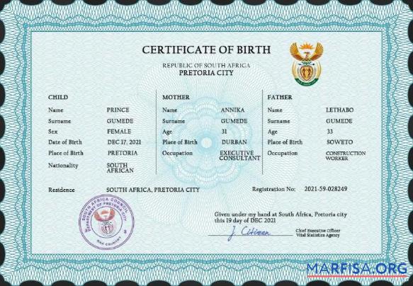 Realistic South Africa birth certificate PSD template